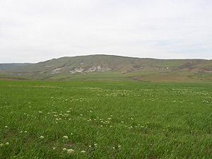View next photo