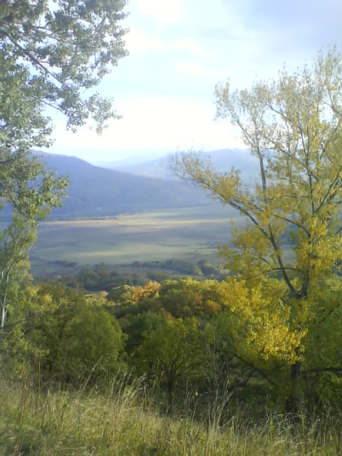 View next photo