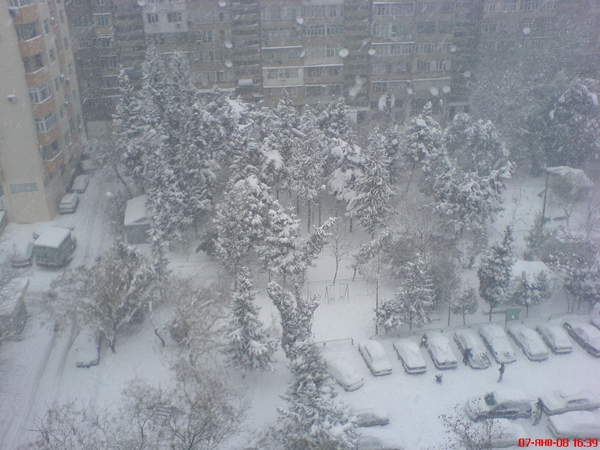 View prev photo