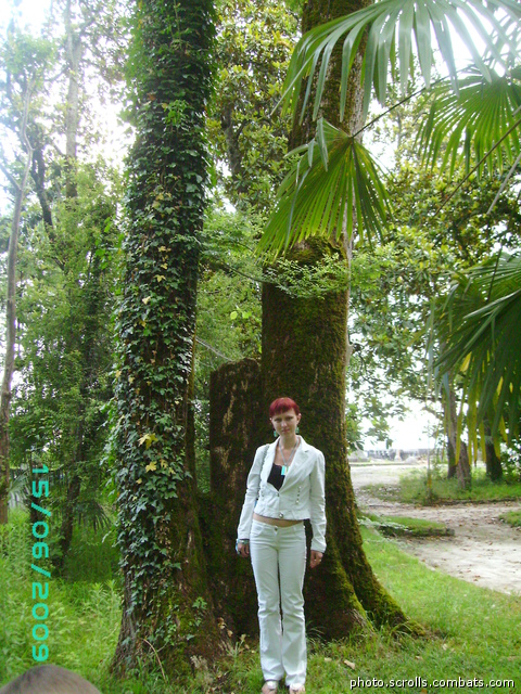 View prev photo