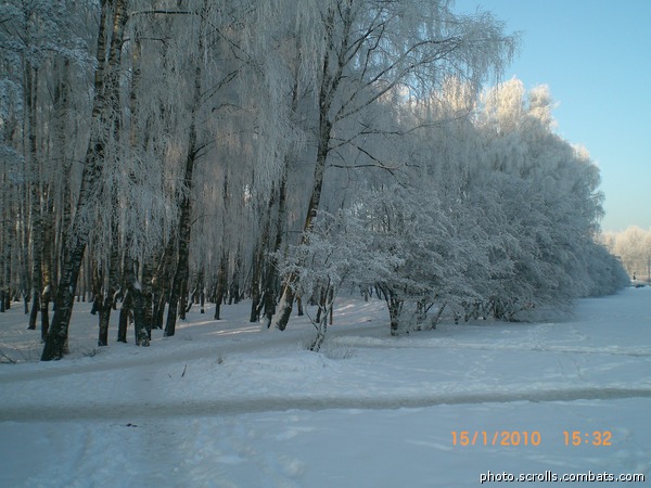 View prev photo