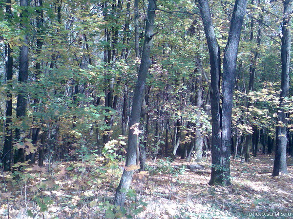 View next photo