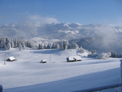 View next photo
