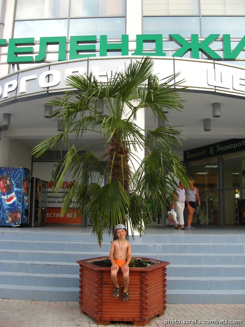 View prev photo