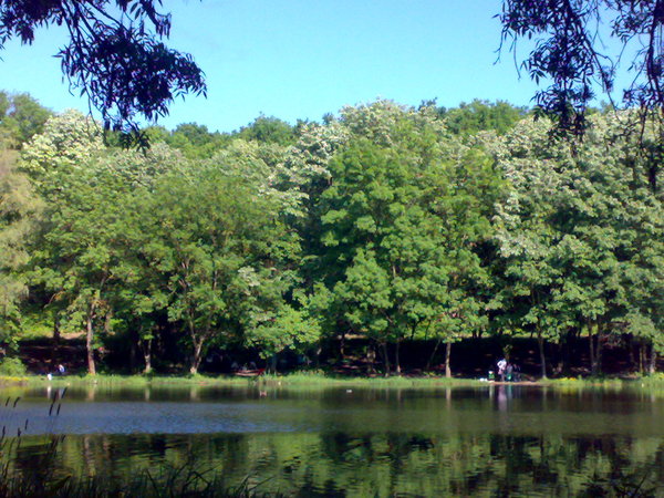 View next photo