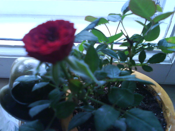 View prev photo