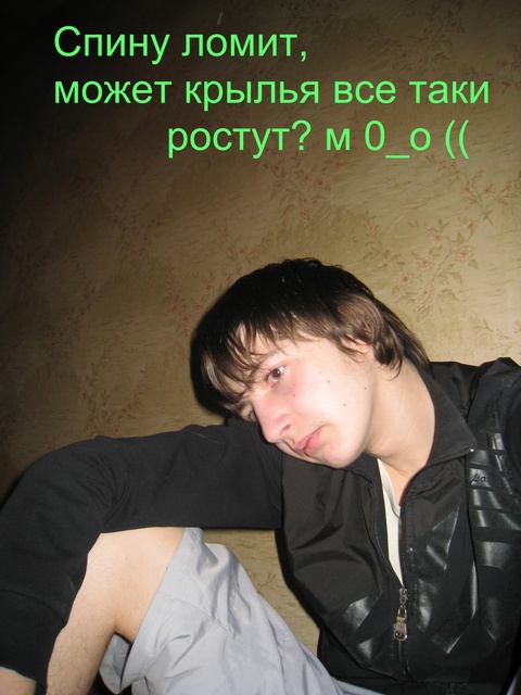 View prev photo