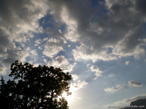 View prev photo