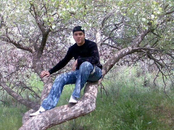 View prev photo