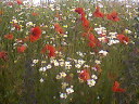 View next photo