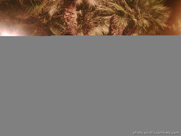 View prev photo