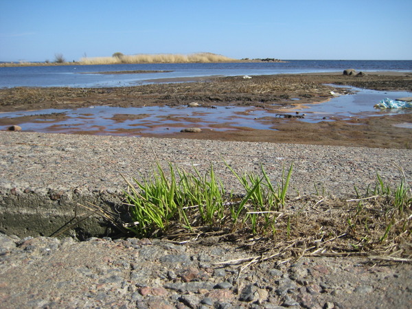 View prev photo