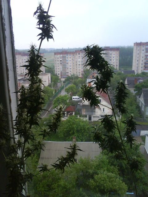 View next photo