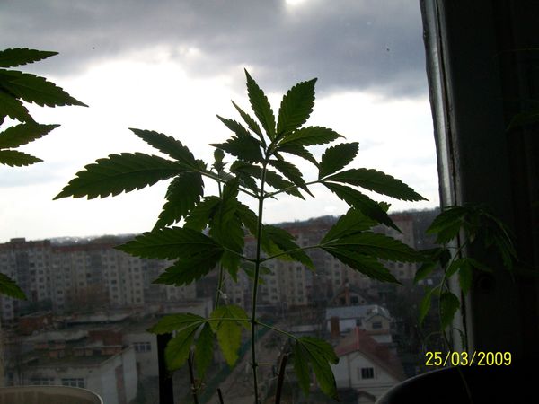 View prev photo