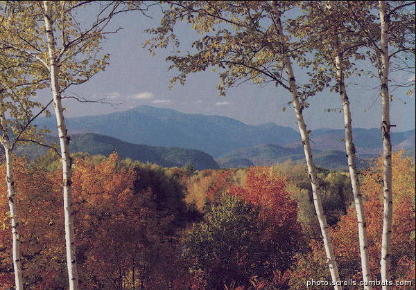 View next photo