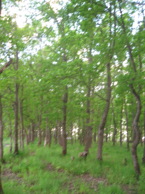 View next photo