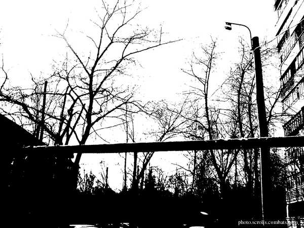View next photo