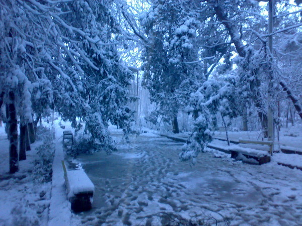 View prev photo