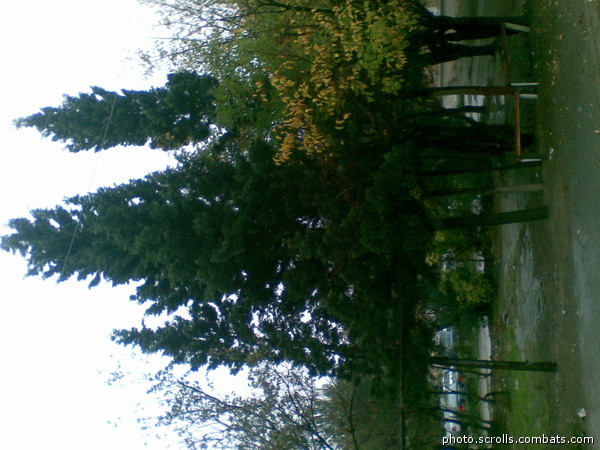 View next photo