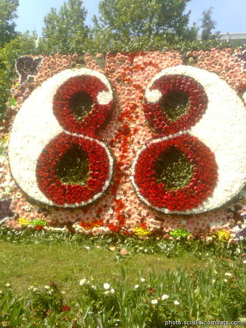 View prev photo