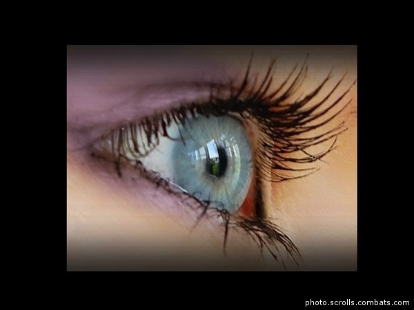 View prev photo