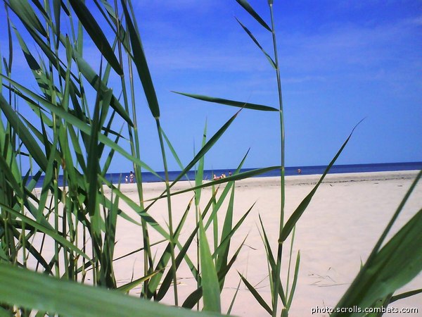 View prev photo