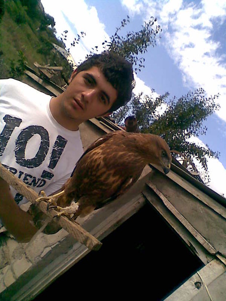 View prev photo