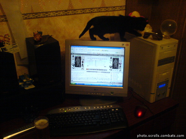 View prev photo