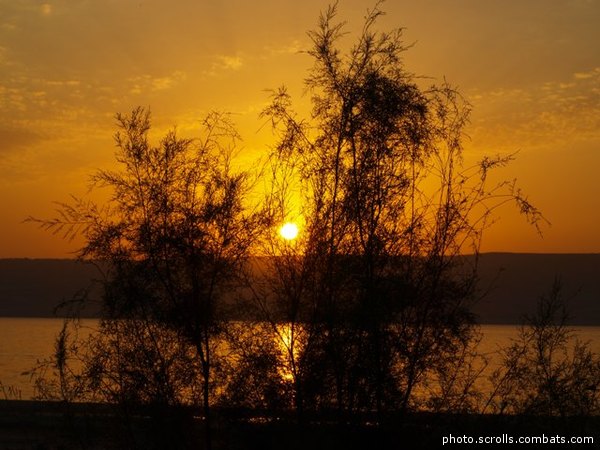 View prev photo