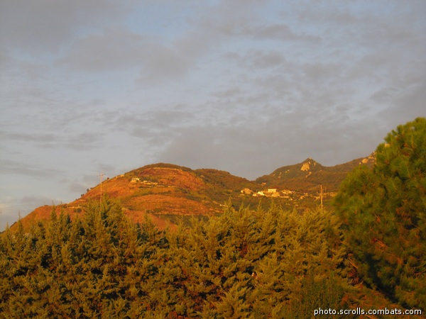 View prev photo