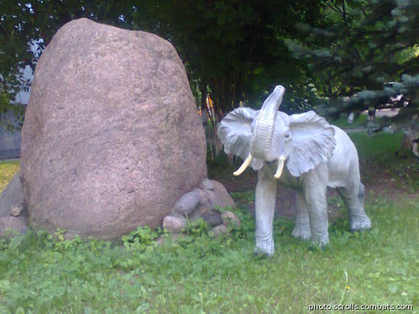 View prev photo