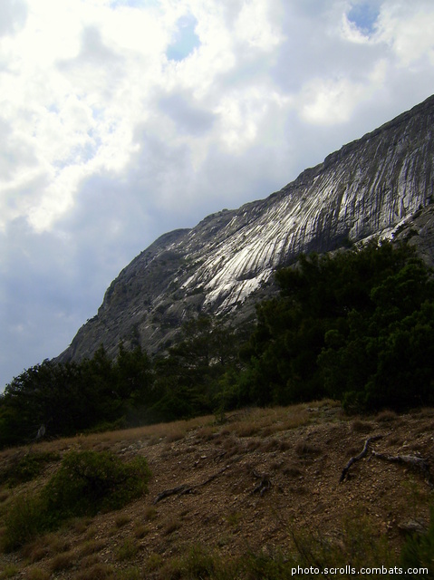 View prev photo