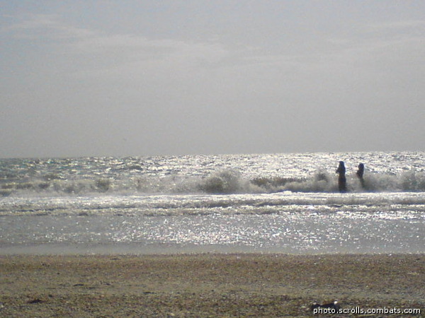 View prev photo