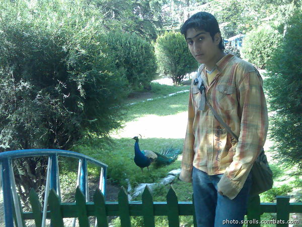 View prev photo