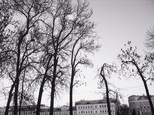 View next photo