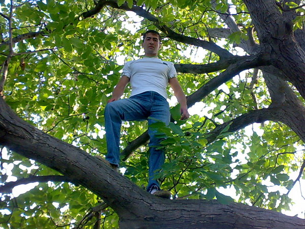 View prev photo