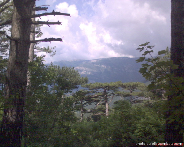 View next photo