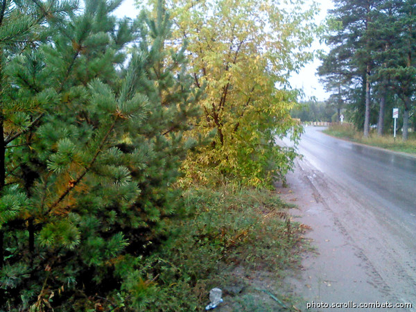 View next photo