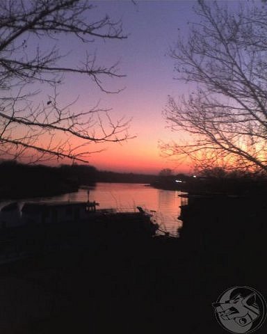 View prev photo