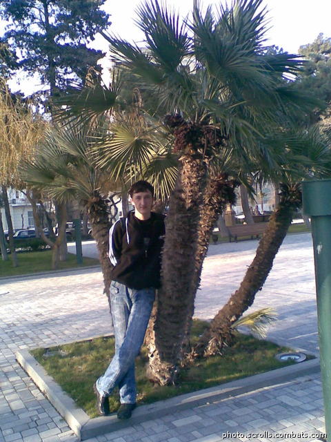 View prev photo