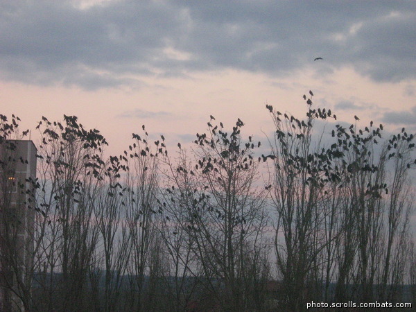 View next photo