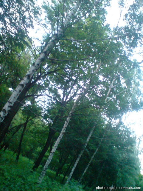 View next photo