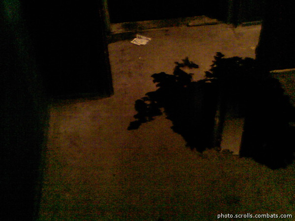 View next photo