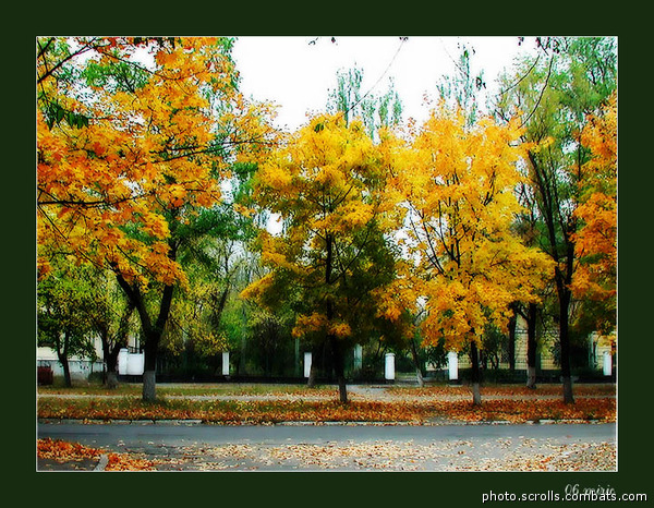 View next photo