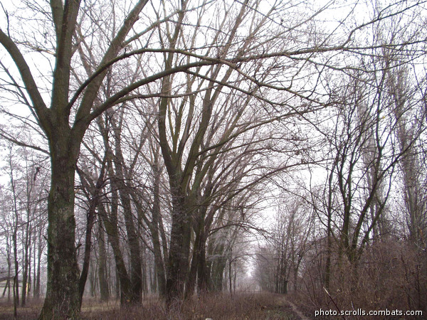View next photo
