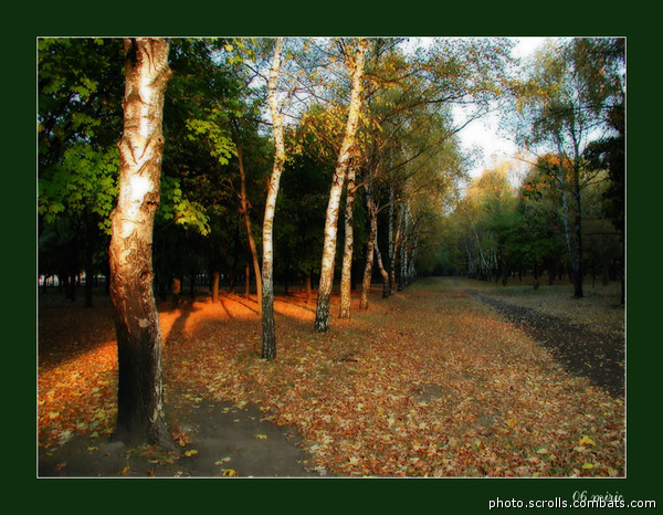 View next photo