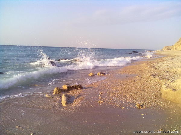 View prev photo