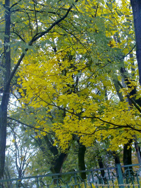 View next photo