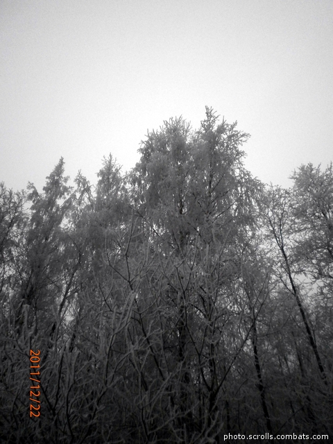 View next photo