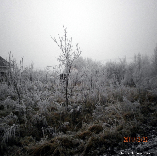 View prev photo